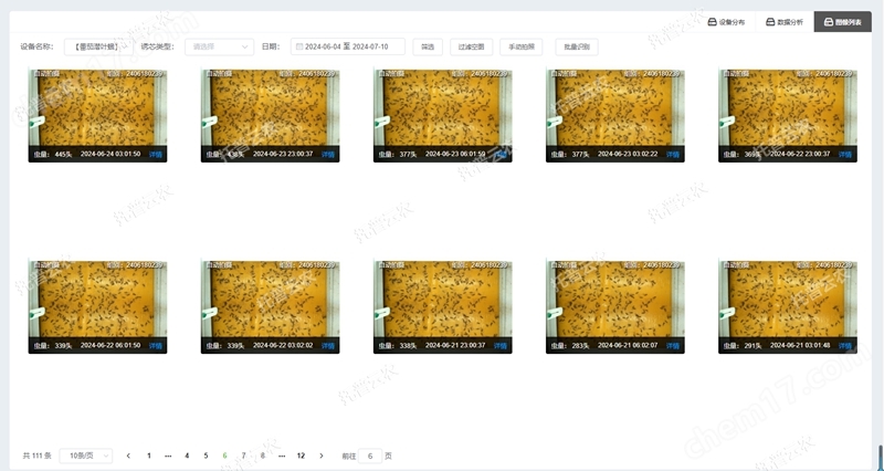 2. 蟲情圖像列表_副本.jpg