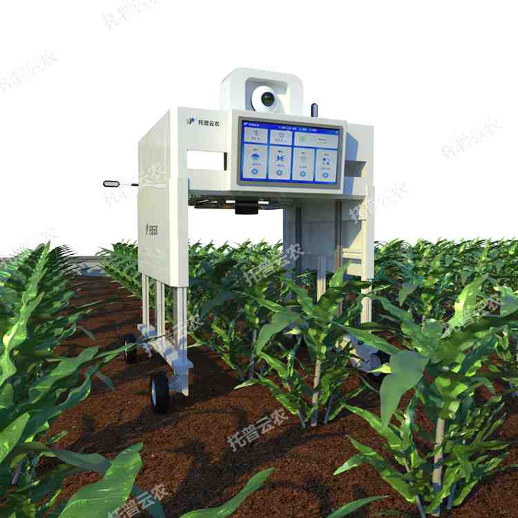 無人車式高通量表型采集分析平臺(tái)(橫跨式)