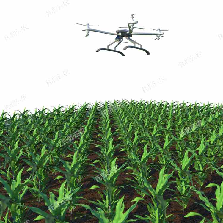 田間無人機(jī)式植物高通量表型采集分析平臺(tái)