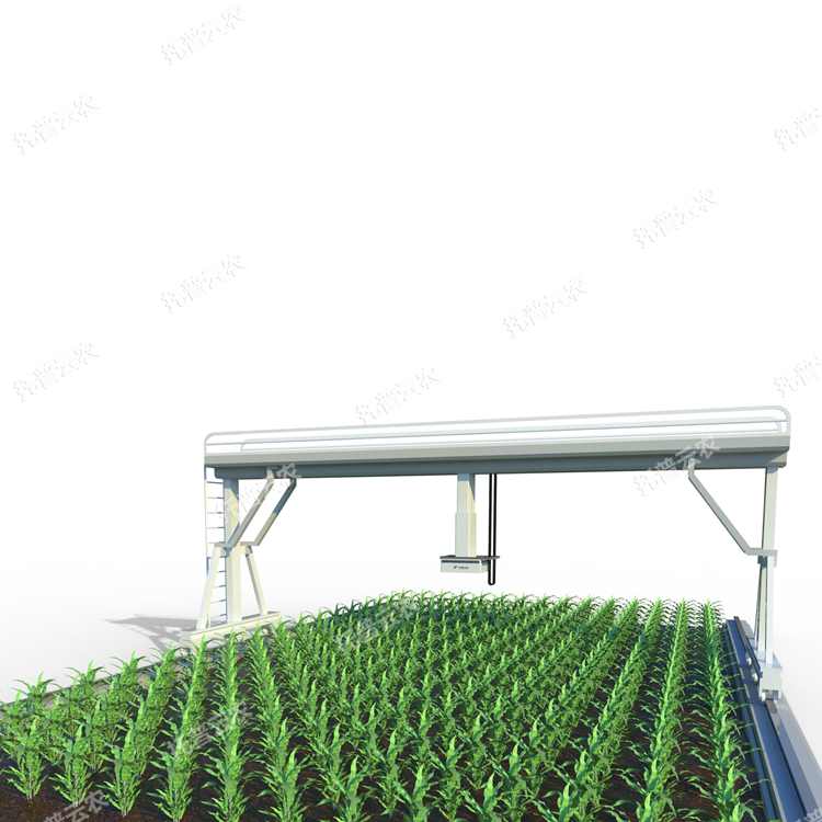 田間軌道式高通量植物表型分析平臺(tái)