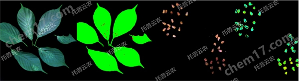 <strong><strong>高光譜植物數字采集分析系統</strong></strong>-1.jpg 高光譜植物數字采集分析系統