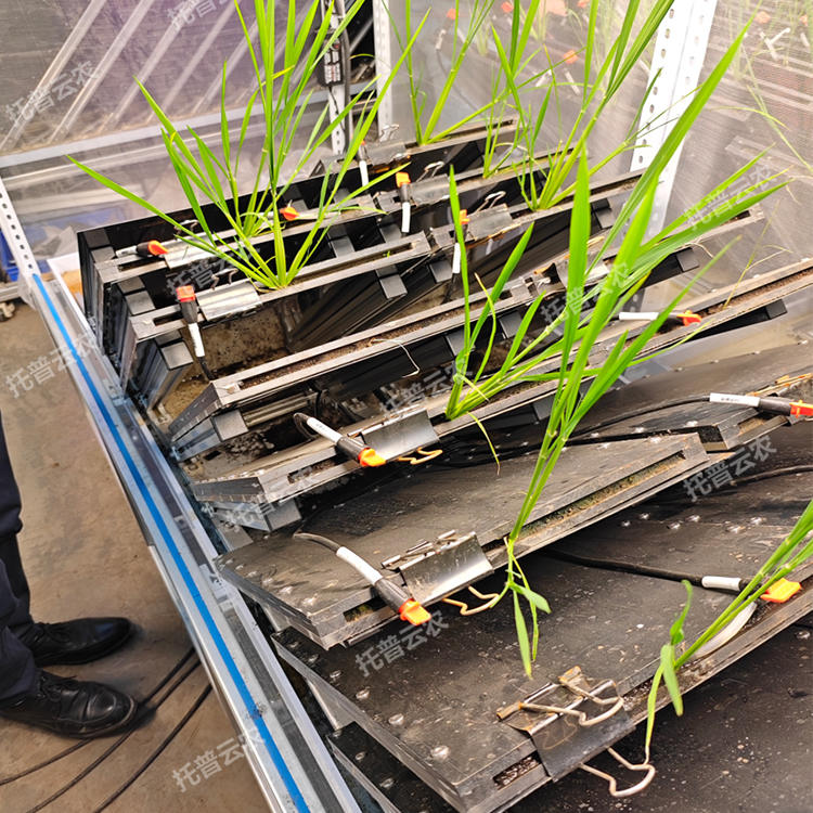 高通量植物根系表型采集分析系統(根盒式)