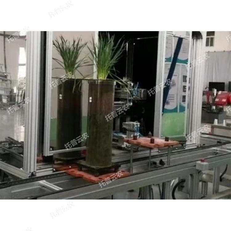 高通量植物根系表型采集分析系統(根筒式)