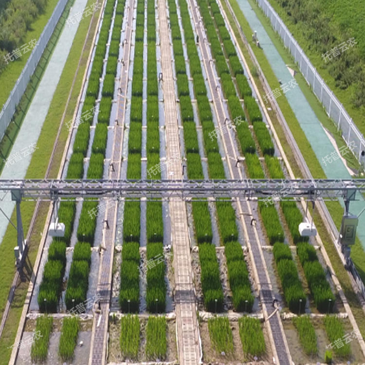 龍門式高通量表型采集分析平臺(tái)(地軌式)