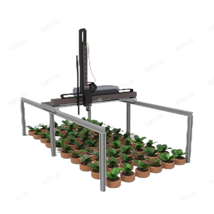 龍門式高通量表型采集分析平臺(tái)(立柱式)