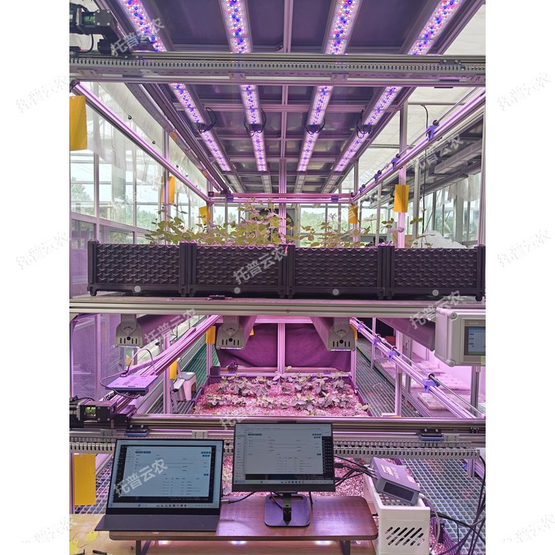 人工氣候室植物表型監(jiān)測(cè)系統(tǒng)